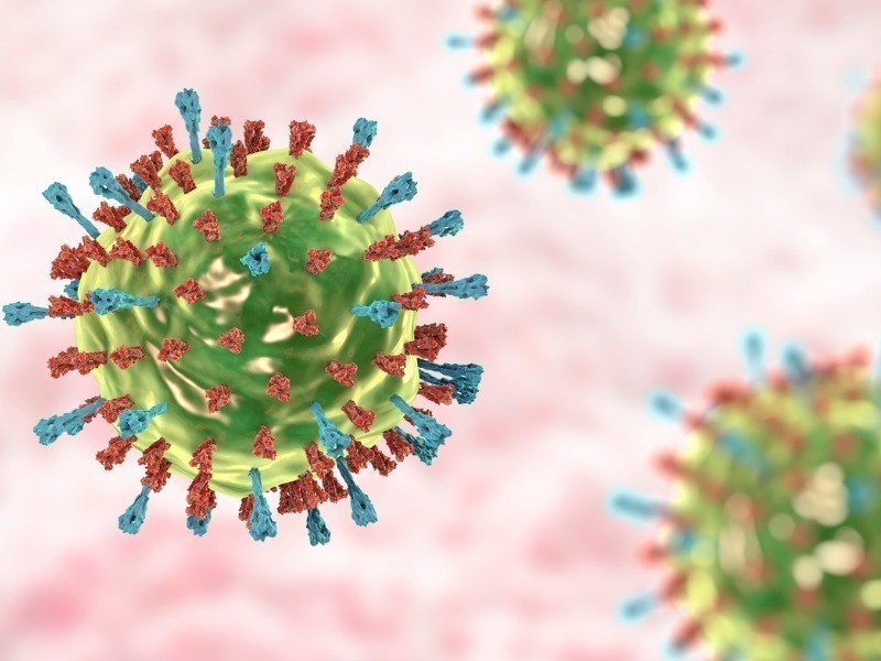 Vírus da caxumba. Ilustração 3D mostrando a estrutura do vírus da caxumba com picos de glicoproteína de superfície hemaglutinina-neuraminidase e proteína de fusão