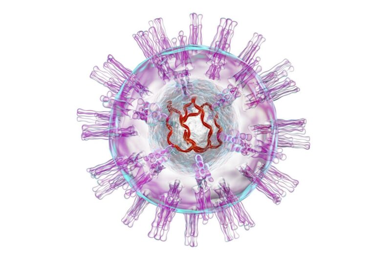 Estrutura do vírus herpes simplex