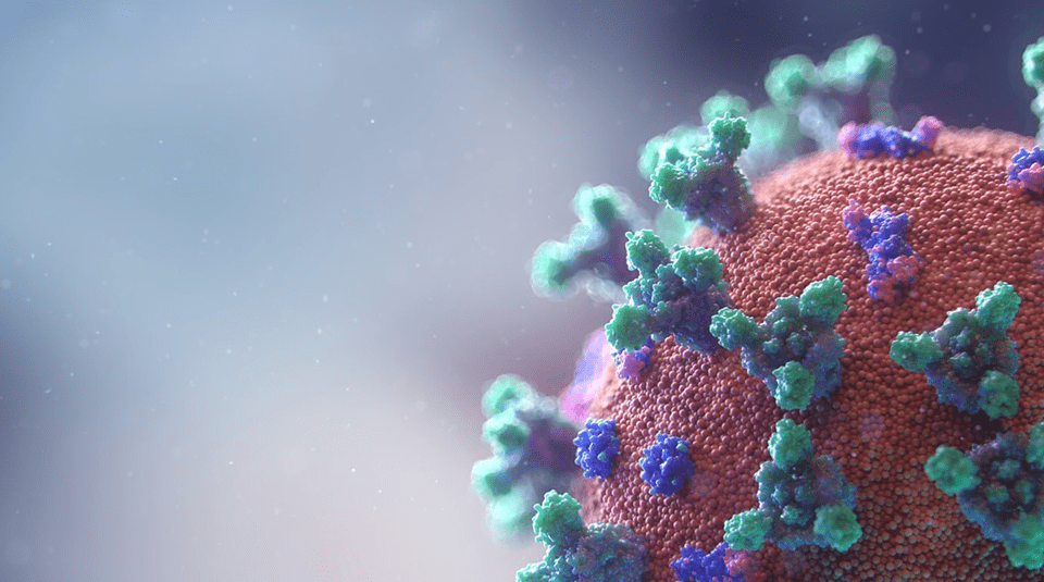 Controllab lança controle para TLR molecular