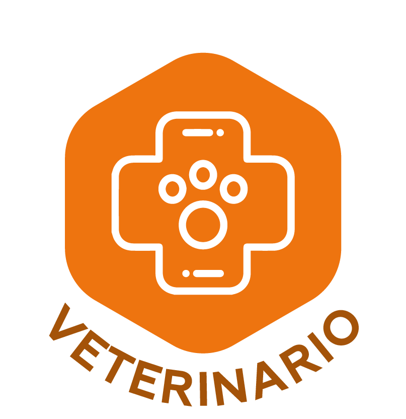 segmento atuacao color veterinario es